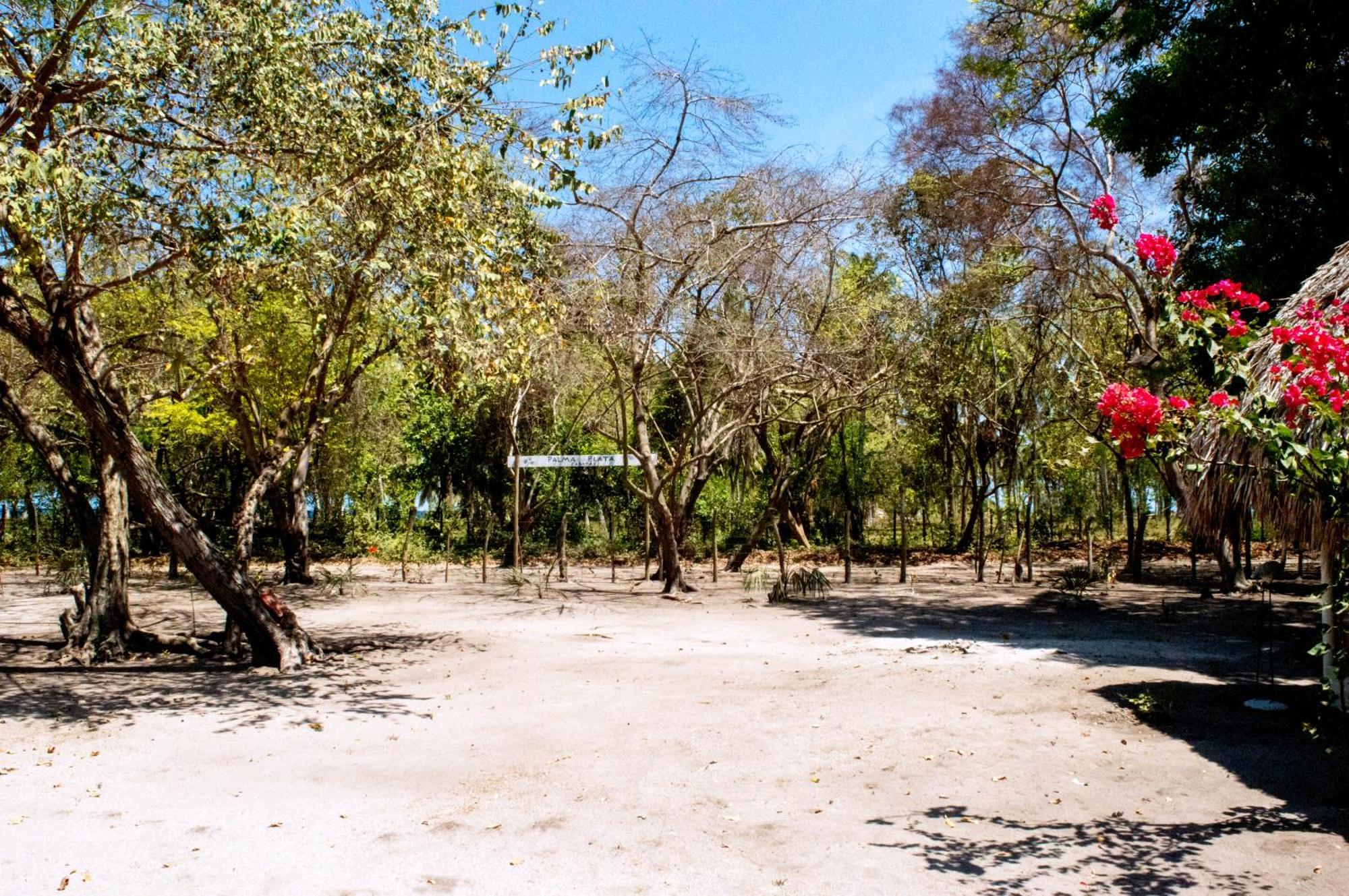 Palma Plata Islas Del Rosario Исла-Гранде Экстерьер фото